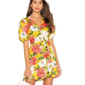 Parker Minna Dress Size 10 Lemon Wildflower Mini Ruffle Yellow Floral
